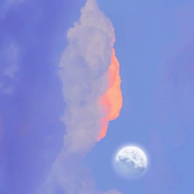 คริส พีรวัส avatar